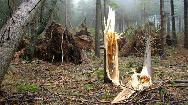 Jahrestag von Orkan Kyrill