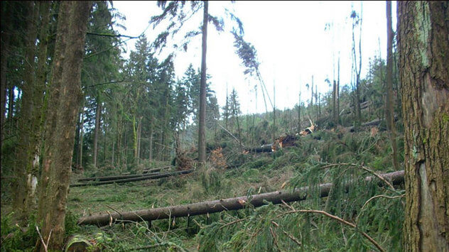 Jahrestag von Orkan Kyrill