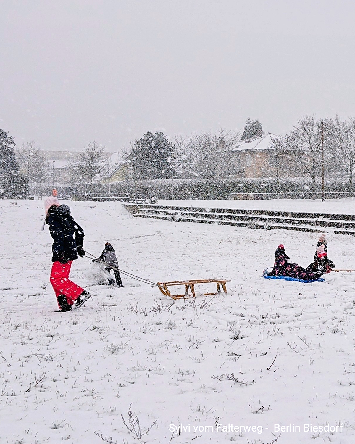 In Berlin spielen Kinder im Schneefall auf einer verschneiten Wiese. Ein Kind zieht einen Holzschlitten, andere fahren Schlitten. Wohnhäuser und Bäume stehen im Hintergrund.
