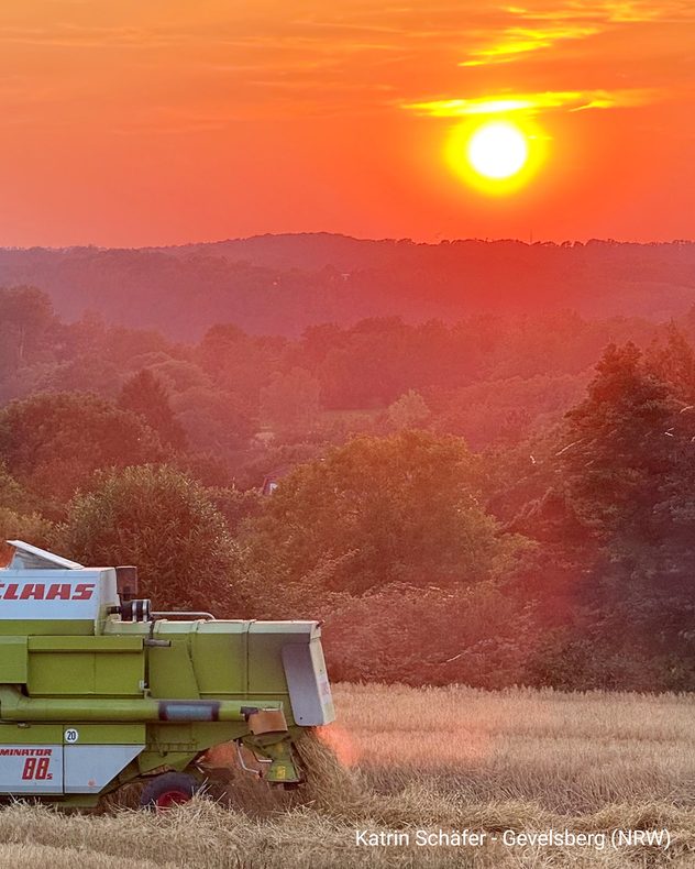 Mähdrescher auf einem Getreidefeld bei Sonnenuntergang mit orange leuchtendem Himmel in Gevelsberg.