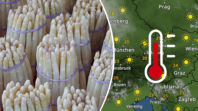 Weißer Spargel zusammengebunden und WetterRadar
