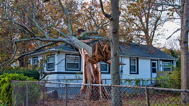 Ein entwurzelter Baum ist bei einem Sturm auf ein Wohnhaus gestürzt und hat das Dach beschädigt. Im Vordergrund ist ein Gartenzaun zu sehen – typische Sturmschäden mit potenziellem Versicherungsfall.