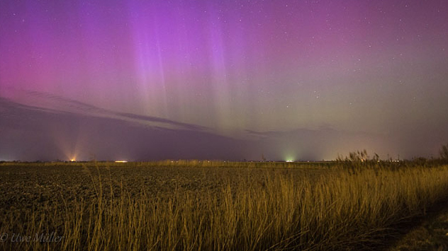 Polarlichter über Feld