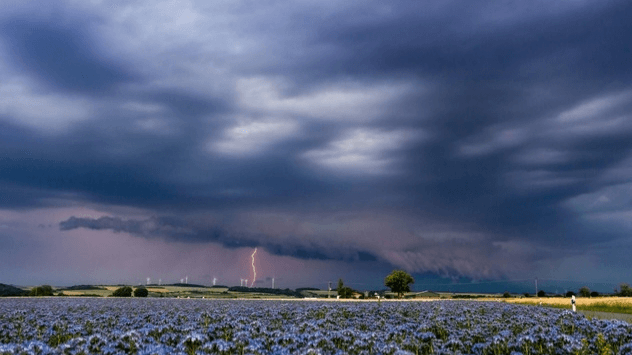 Blitz über Blumenfeld