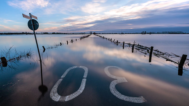 Hochwasser überflutet eine Straße auf der Bislicher Insel bei Xanten am Niederrhein.