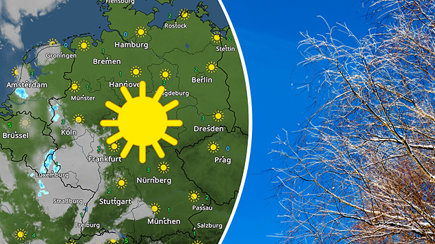 Links: WetterRadar-Karte vom 19. Januar zeigt verbreitet sonniges Wetter in Deutschland – nur im Westen einzelne Wolken. Ein großes Sonnensymbol betont die ruhige Hochdrucklage. Rechts: Winterlicher Baum vor klarem, tiefblauem Himmel – kalt, aber sonnig.