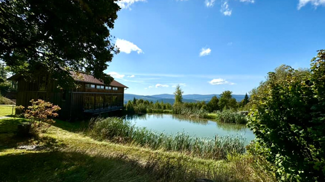 © Sara AllAngolo Blauer Himmel und 25 Grad in 63584 Gründau im Main-Kinzig-Kreis.