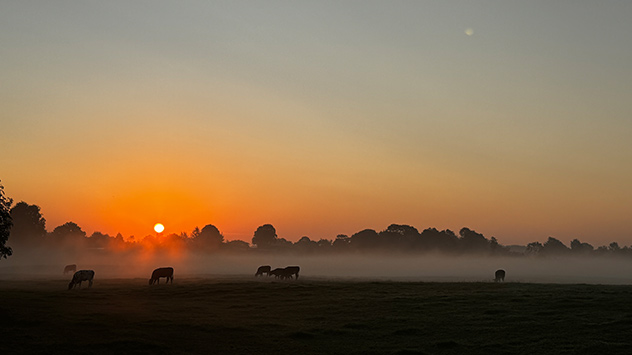 © Susanne Lansberg Morgendliche Nebelfelder wie hier in Böel in Schleswig-Holstein deuten auf den nahenden Herbst.