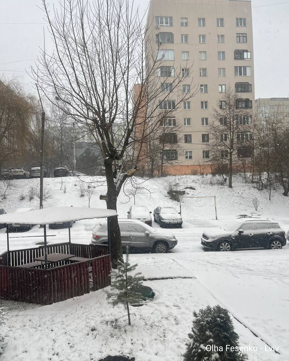 Сніг у Львові продовжує падати.