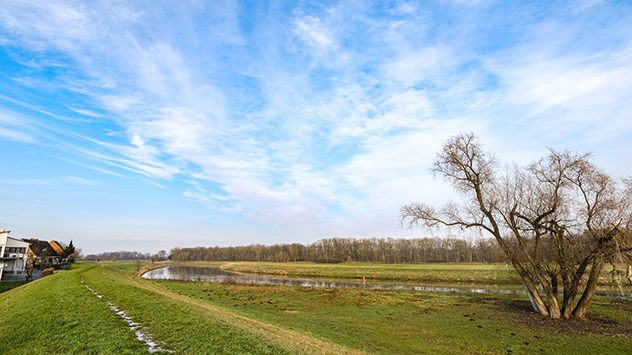 Doch nicht überall schneit es. Zum Beispiel im Salzlandkreis in Sachsen-Anhalt sind die Wiesen noch grün.