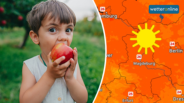 © Stock Holm / Shutterstock.com