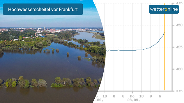 Der Oder-Pegel bei Frankfurt steigt noch an. Wiesen vor der Stadt stehen bereits unter Wasser.