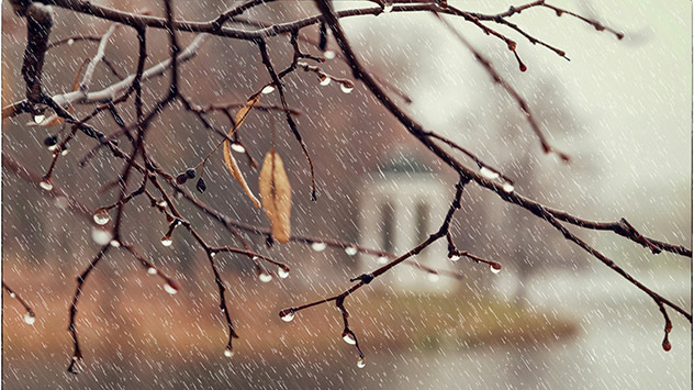 Gouttes de pluie et grisaille automnale