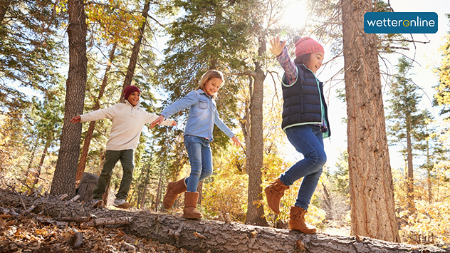 Drei Kinder balancieren auf einem Baumstamm im herbstlichen Wald bei sonnigem Wetter.