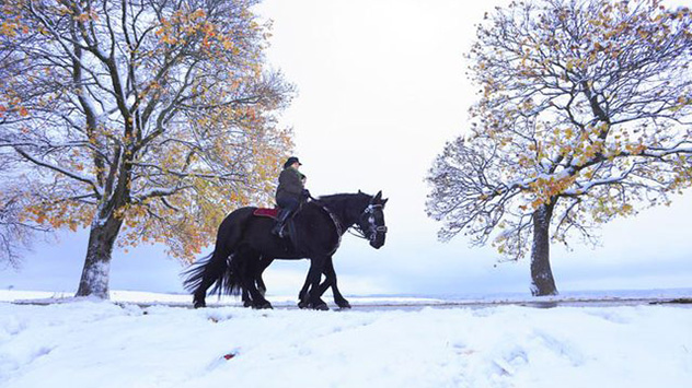 Bereits am Donnerstag hat sich das Schneechaos angedeutet. Hinter einer Kaltfront sinkt die Schneefallgrenze deutlich ab. 