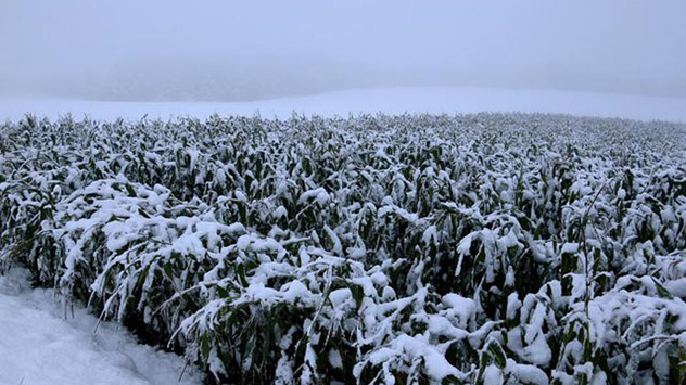 Dieses Bild verdeutlicht, dass der erste Schnee in diesem Jahr ungewöhnlich früh dran ist. 