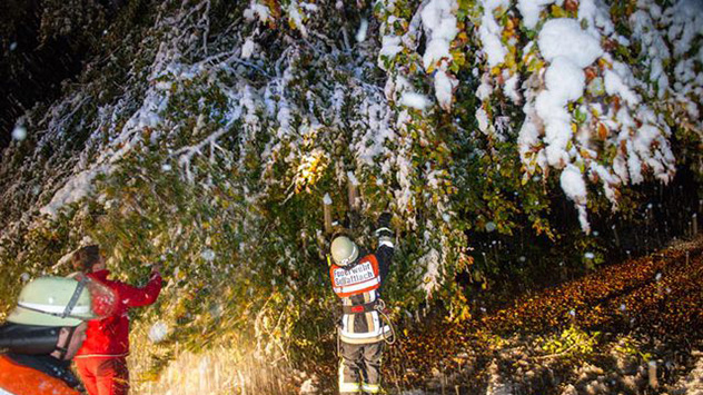 Schon in der Nacht gibt es am Alpenrand massive Probleme durch Schneebruch.