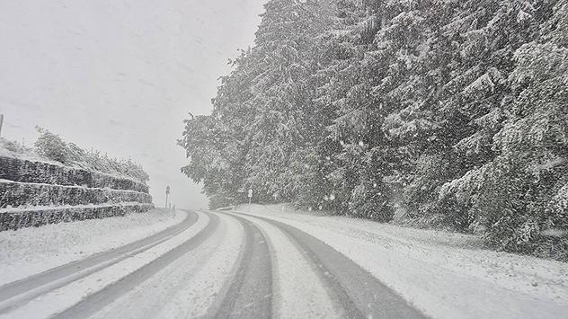Eine schneebedeckte Straße führt durch starken Schneefall entlang eines Waldrands. Bäume und Fahrbahn sind vollständig mit Schnee bedeckt.
