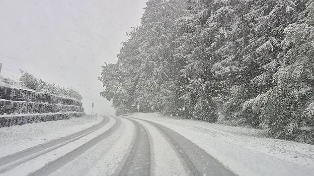 Eine schneebedeckte Straße führt durch starken Schneefall entlang eines Waldrands. Bäume und Fahrbahn sind vollständig mit Schnee bedeckt.