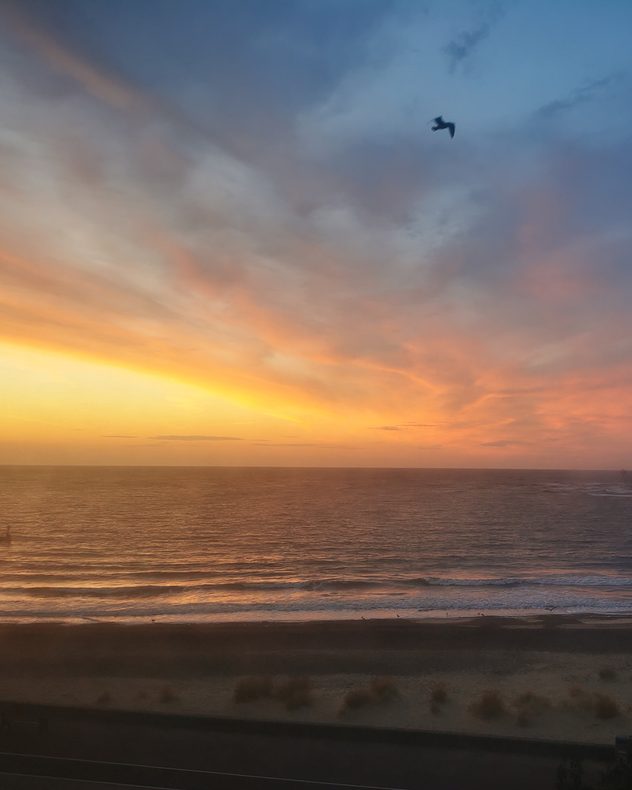 Orange and pink sunset over a calm sea and sandy beach, with gentle waves beneath layered clouds and a bird flying across the blue evening sky.