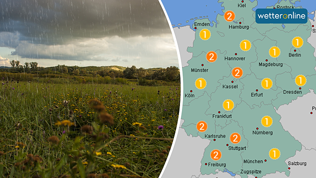 © Dark Moon Pictures / shutterstock.com