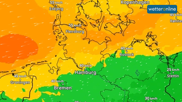 WindRadar zeigt starken Ostwind am Monat im Küstenumfeld