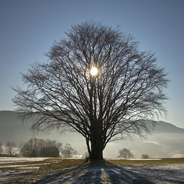 astronomia, solstizio, inverno, sole, notte