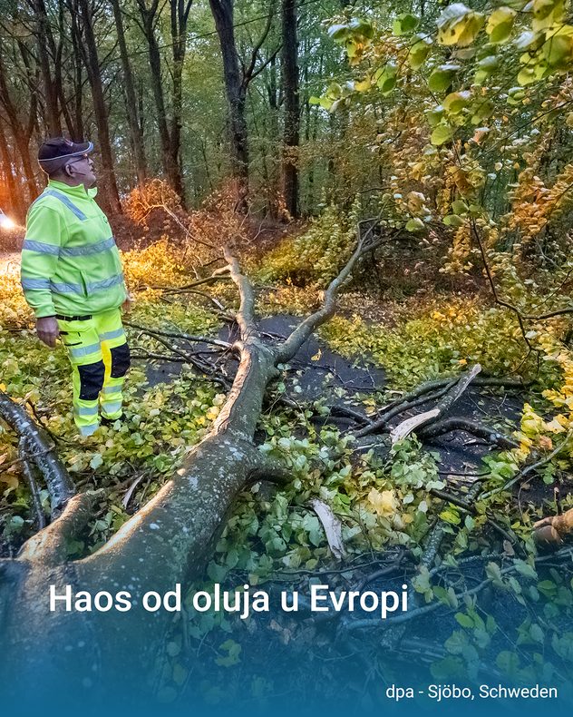 Šteta od oluje