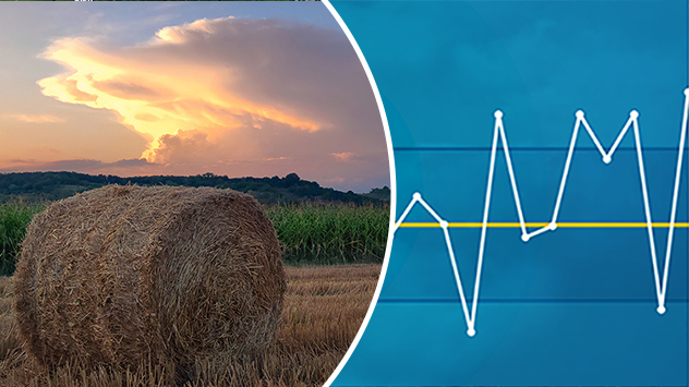 1ef41e11-2aef-60ee-9ead-07cd07a539b4 ticker-split