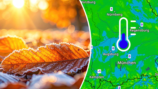Links: Gefrorene Herbstblätter im Morgenlicht – auf dem Boden liegen bunt gefärbte, mit Raureif überzogene Blätter, die Sonne angestrahlt werden. Rechts ist das TemperaturRadar zu sehen.