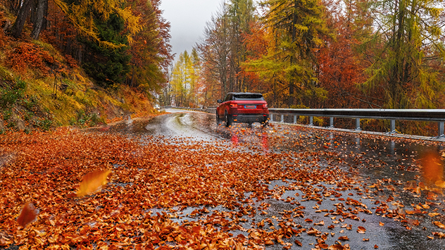 Ein Auto fährt bei Regen durch eine herbstlich bunte Waldstraße, die mit nassem Laub bedeckt ist – erhöhte Rutschgefahr durch glatte Fahrbahn und Blätter.