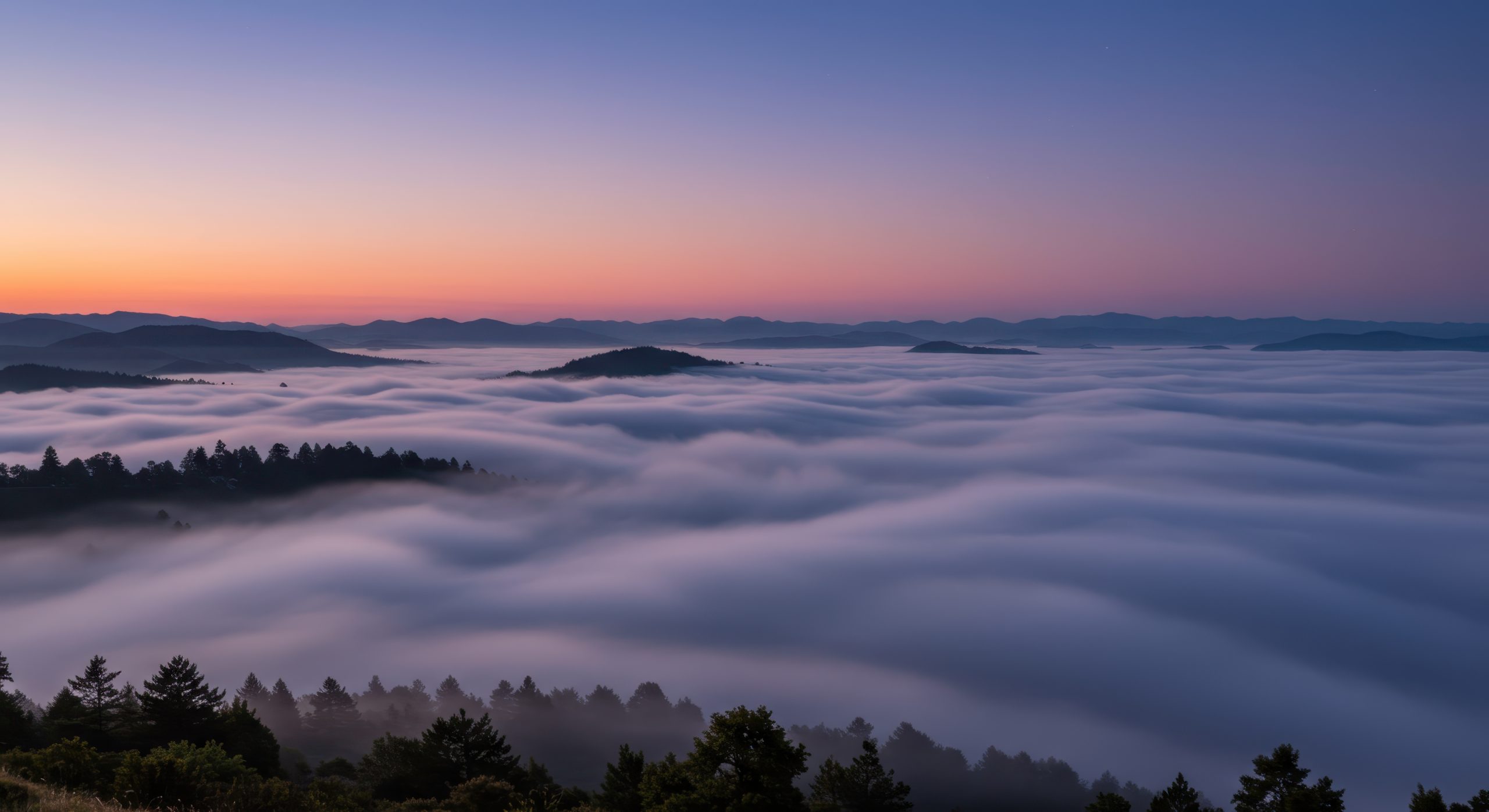 Wide, panoramic shot taken from a high vantage point overlooking a vast expanse of thick, rolling fog or low-lying clouds filling a valley just before sunrise or after sunset. Silhouetted dark evergreen trees line the foreground and punctuate the cloud sea, with distant, layered mountain ridges visible beneath a colorful sky displaying soft gradients of blue, purple, and faint orange near the horizon.