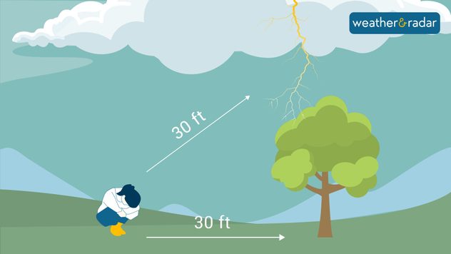 lightning near trees