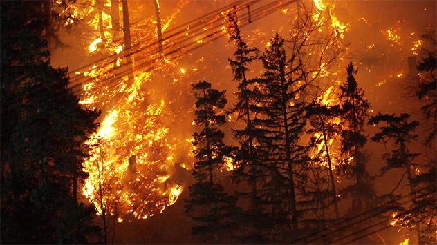 Großer Waldbrand nahe Schloss Neuschwanstein