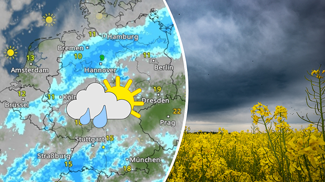 WetterRadar mit Regengebieten über Deutschland neben einem dunklen Himmel über einem gelben Rapsfeld.