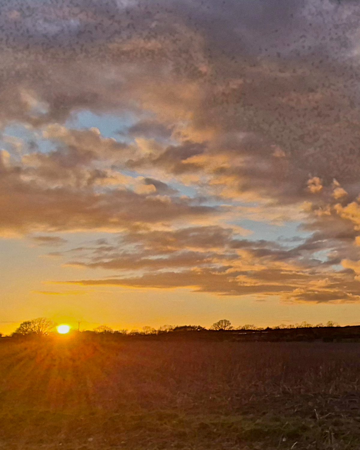 Golden sunset over open fields in Hevingham, Norfolk, with the sun low on the horizon, warm rays across the land, and scattered clouds lit orange and pink.