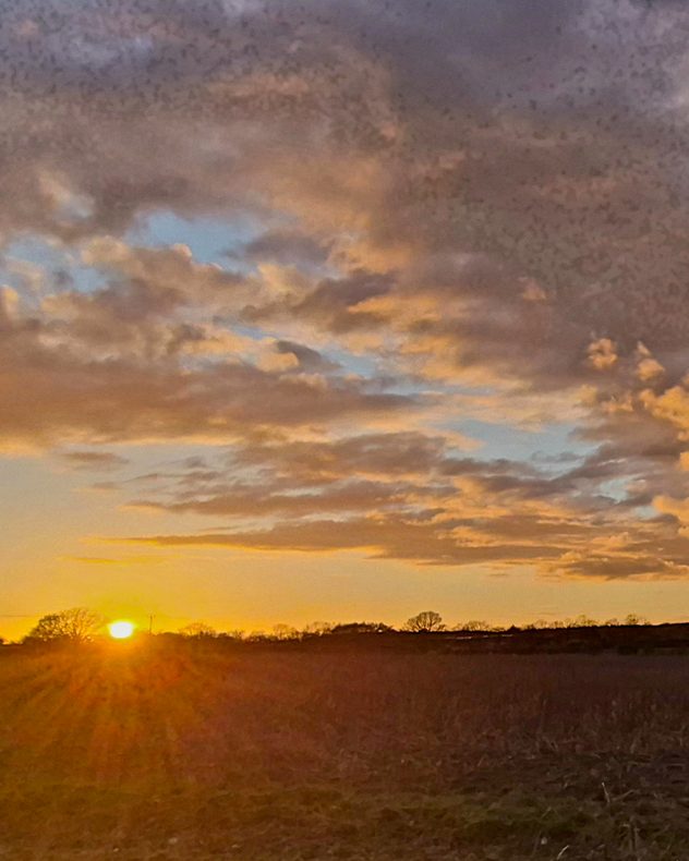 Golden sunset over open fields in Hevingham, Norfolk, with the sun low on the horizon, warm rays across the land, and scattered clouds lit orange and pink.