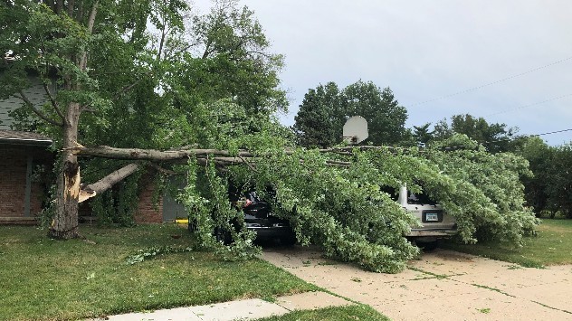 Derecho iowa
