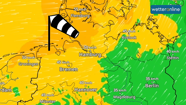 Wetterkarte für Norddeutschland mit starkem Wind an der Nordseeküste. Böen erreichen regional etwa 50 km/h.