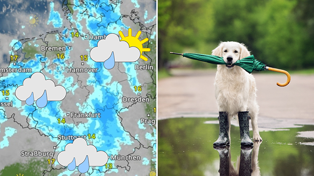Wetterkarte mit Regenfällen in weiten Teilen Deutschlands und mehreren Regensymbolen.