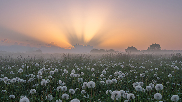 © Ann-Katrin Schiweck