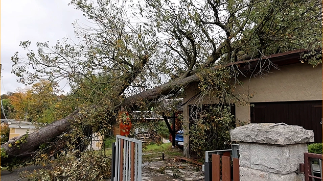 © extremwetter.tv / Niko Mutschmann