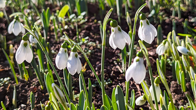 © Jürgen Scheuermann via WetterMelder Deutschland