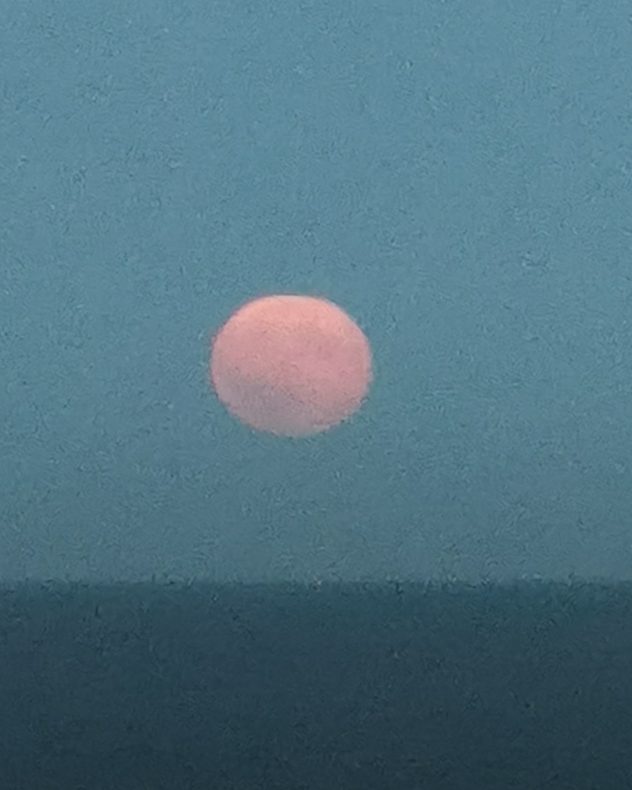 Full Moon low above a dark horizon, glowing soft pink through thick atmospheric haze beneath a muted blue-gray evening sky.