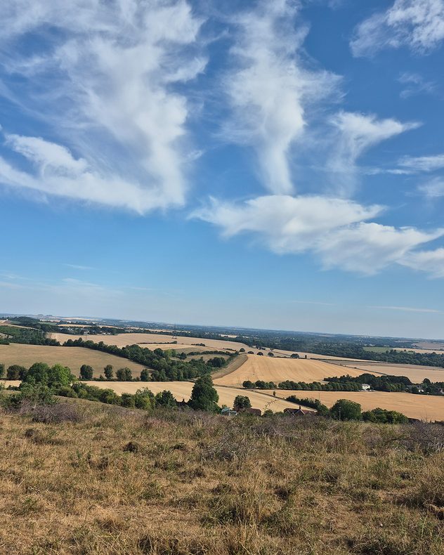 Sweeping cirrus clouds and smooth lenticular clouds above rolling farmland under a deep blue sky, with golden harvested fields, hedgerows, and scattered trees stretching across the countryside.