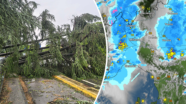 VejrRadar over Norditalien med kraftigt tordenvejr kombineret med foto af væltet træ efter stormskader.