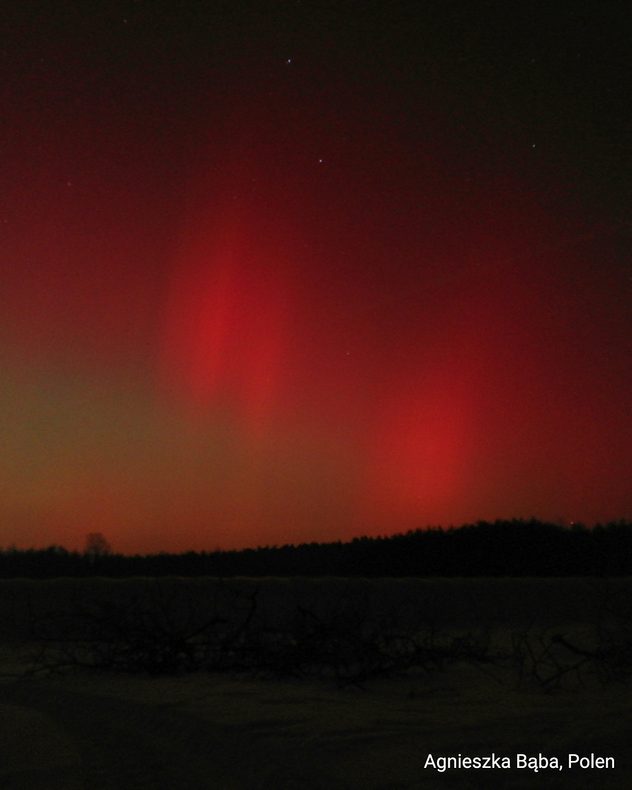 Rote Polarlichter am Nachthimmel über einer dunklen Landschaft. Horizont mit Waldsilhouette und schwachen Sternen.
