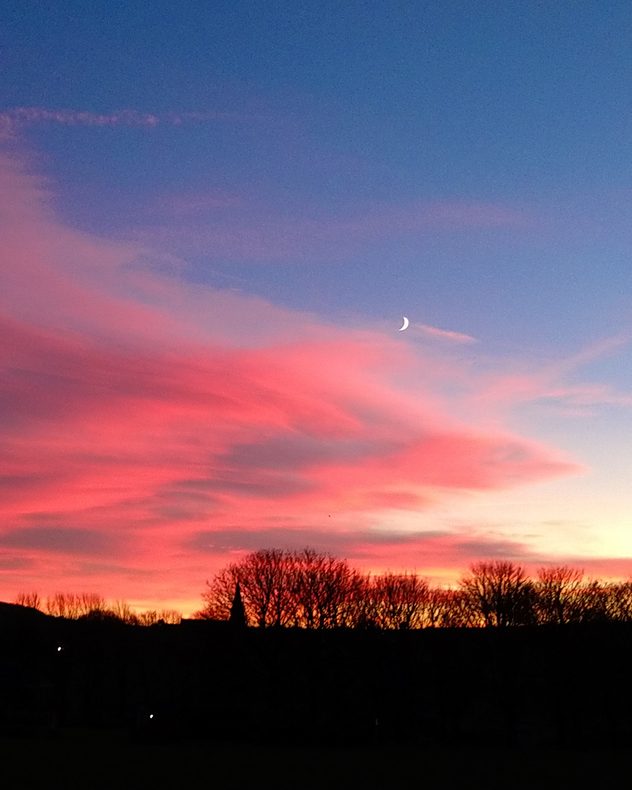 Waxing crescent Moon above vivid pink and magenta sunset clouds, with silhouetted trees along the horizon beneath a deepening blue twilight sky.