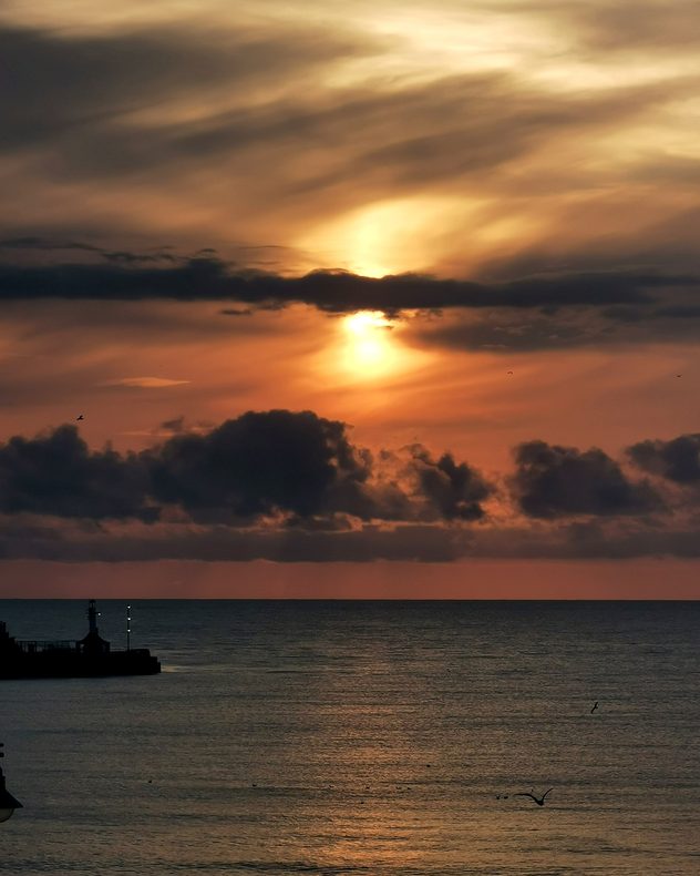 Golden sunset over a calm sea with layered dark clouds, a harbor lighthouse silhouetted on a breakwater, gentle reflections on the water, and seabirds flying beneath the glowing evening sky.