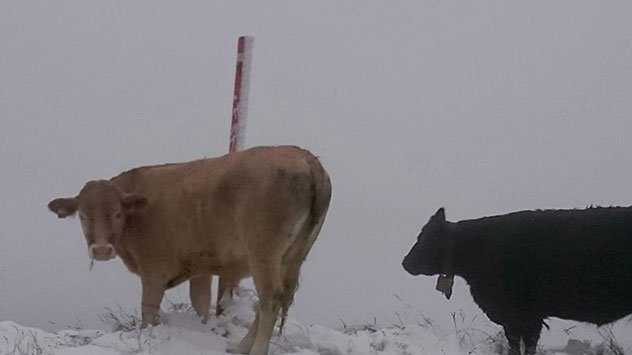 Bei Hochgurgl in Tirol sind ab 1900 Meter Höhe sogar bis zu 10 Zentimeter Schnee zusammengekommen.